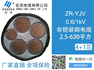 低壓電纜 ZRYJV 4+1芯