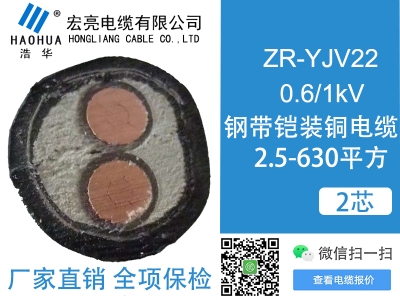 低壓電纜ZRYJV22 2芯