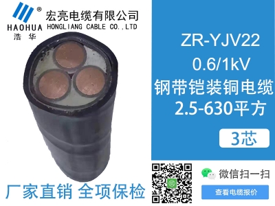 低壓電纜ZRYJV22 3芯