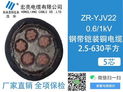 低壓電纜ZRYJV22 5芯